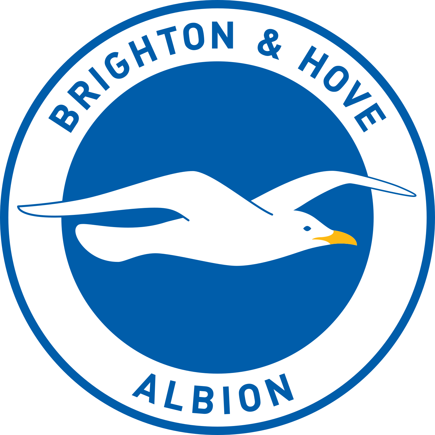 Brighton & Hove Albion Football Shirts | 2025/26