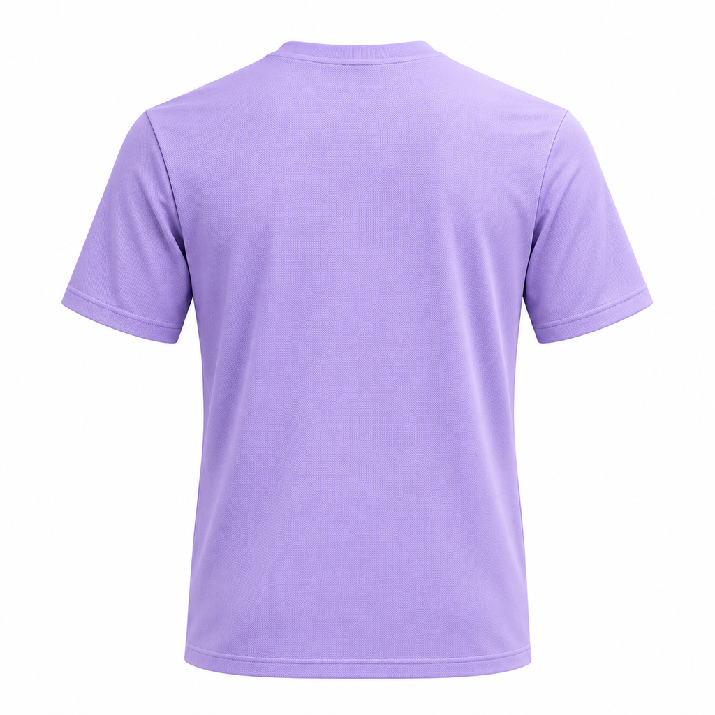South Korea 2026 travel shirt back view