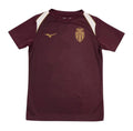  AS Monaco 2026-27 Pre-Match Away Shirt