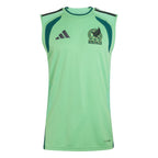 Mexico 2026 light green training vest front