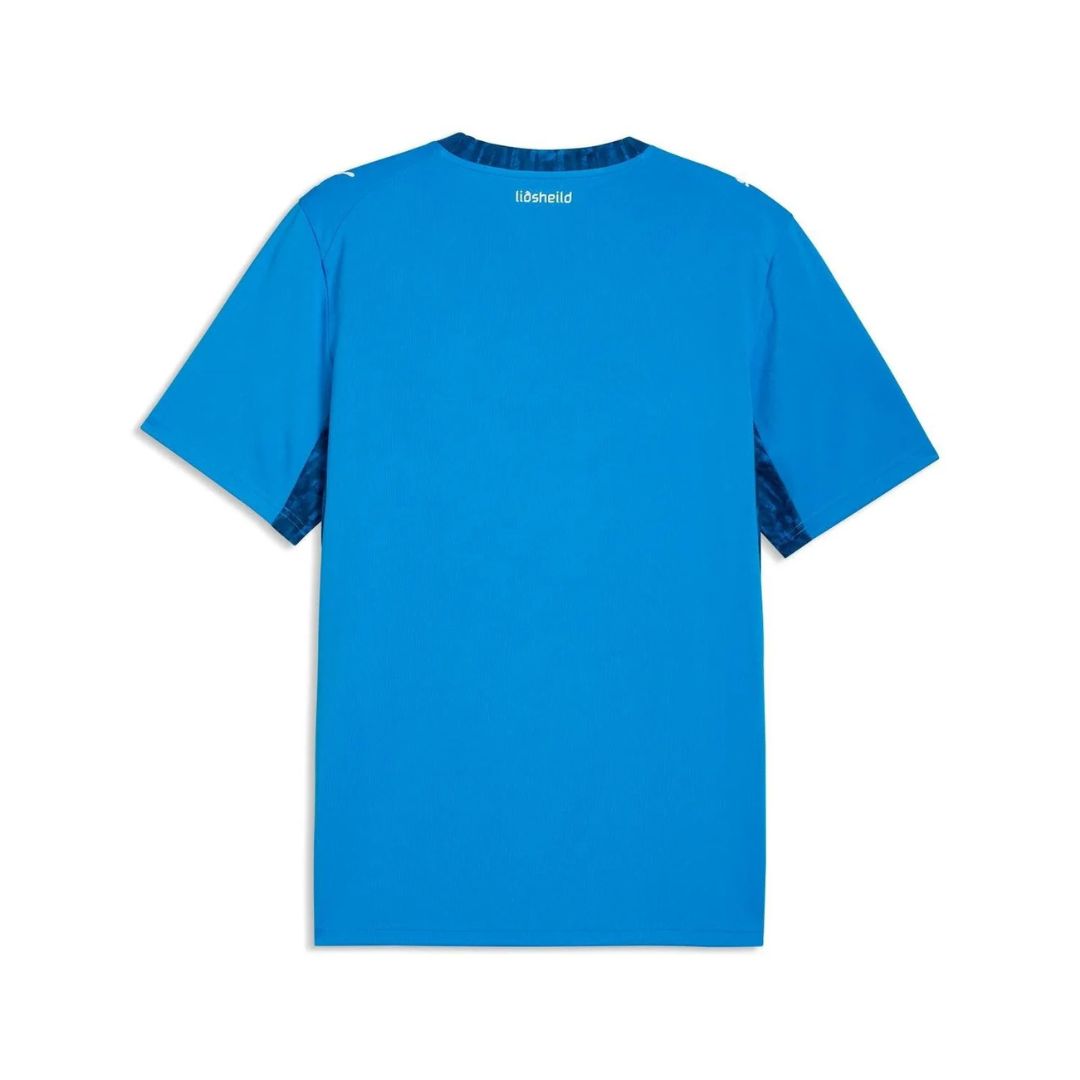 Iceland FIFA 2026 Home Jersey