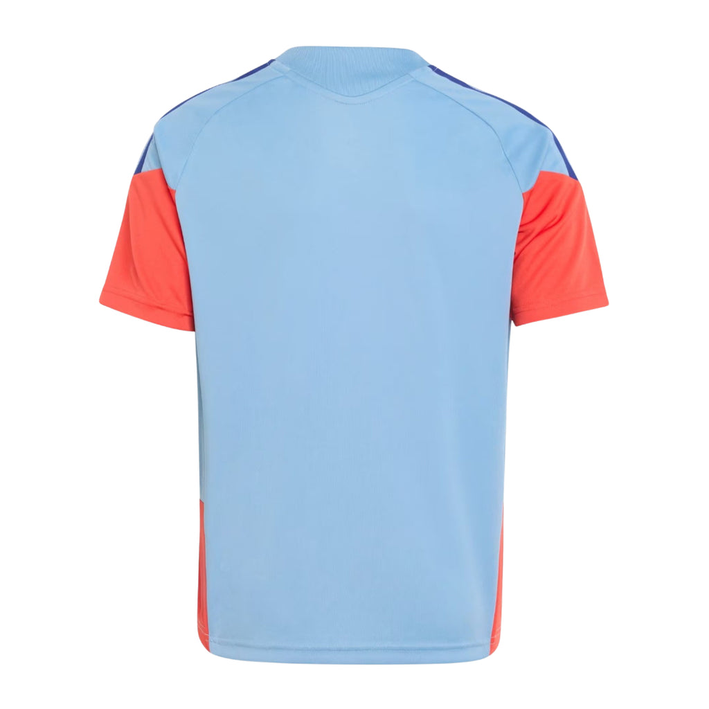 Japan 2026 training shirt back view