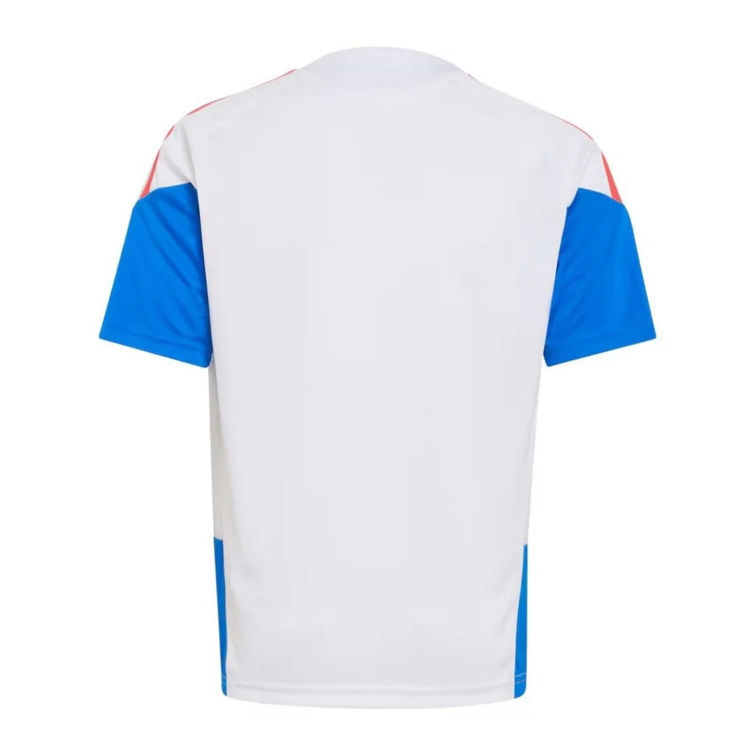 Colombia 2026 training shirt back view