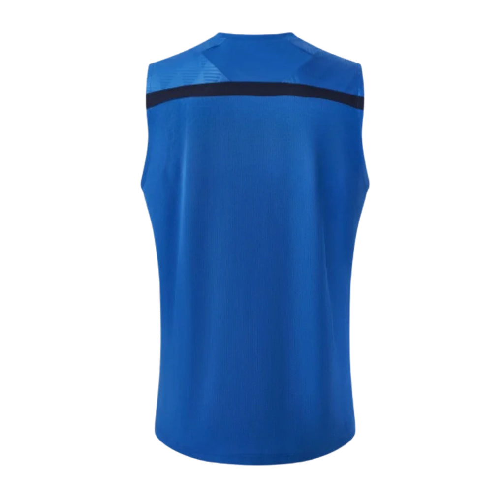 Crystal Palace 2026-27 blue training vest back view