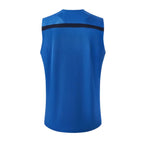 Crystal Palace 2026-27 blue training vest back view