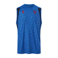 Crystal Palace 2026-27 blue training vest front
