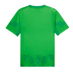 Egypt 2026 green goalkeeper shirt back view