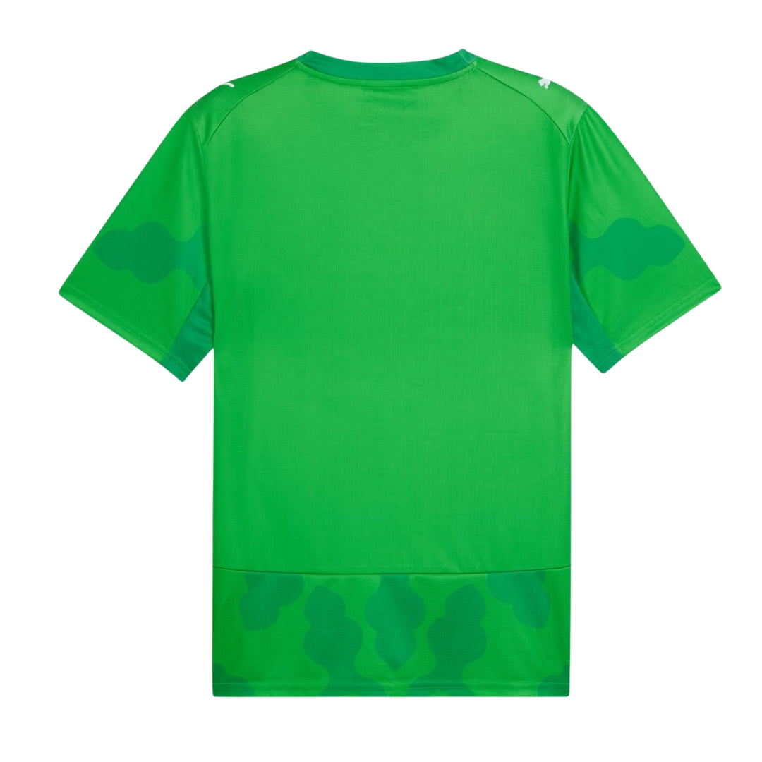 Egypt 2026 green goalkeeper shirt back view