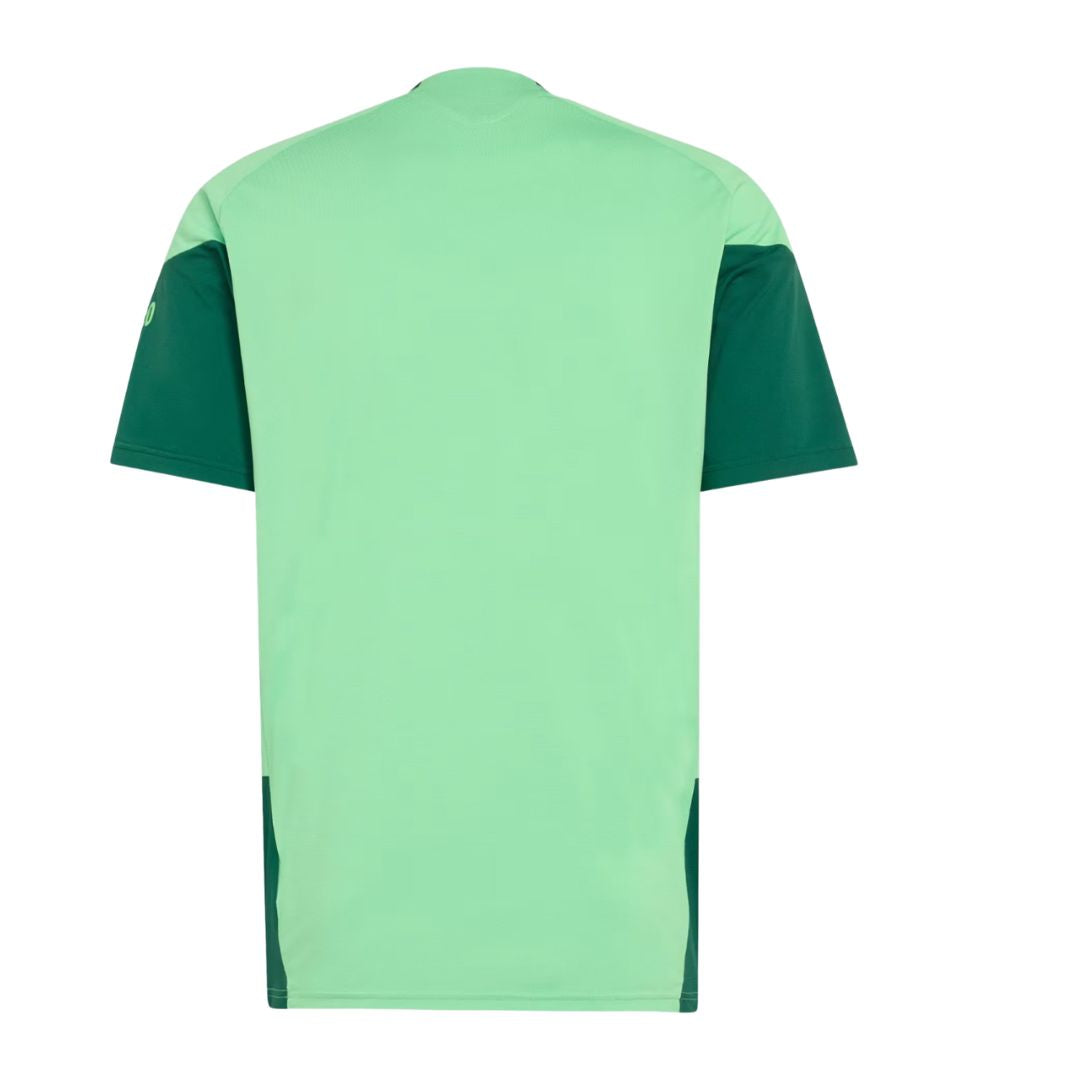 Mexico 2026 training jersey back view