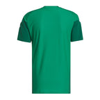 Mexico 2026 green training shirt back view