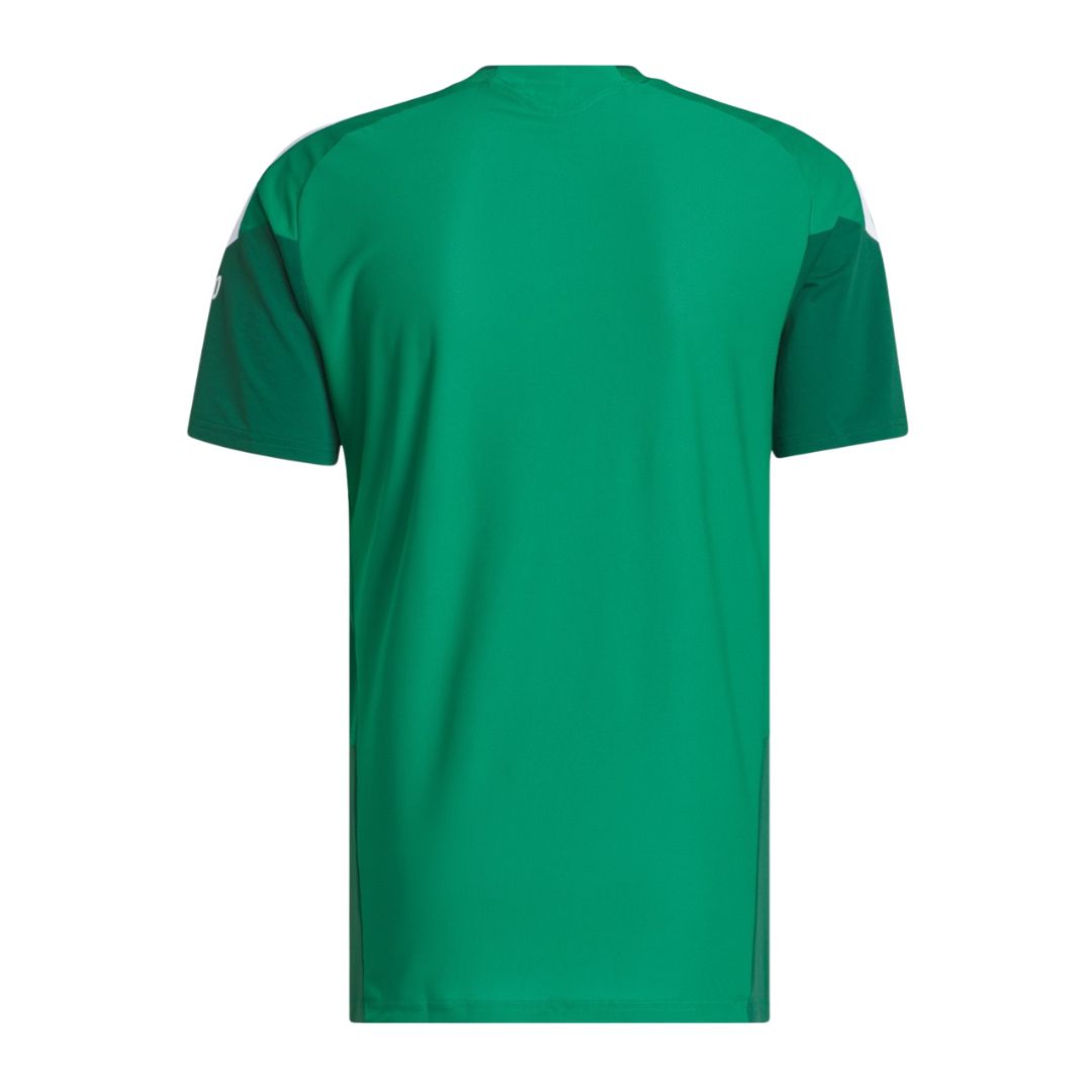 Mexico 2026 green training shirt back view