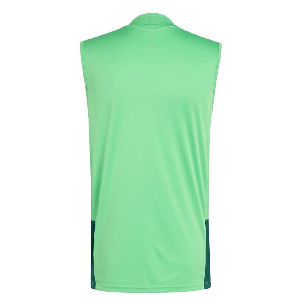 Mexico 2026 green training vest back view