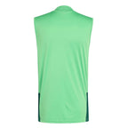 Mexico 2026 green training vest back view