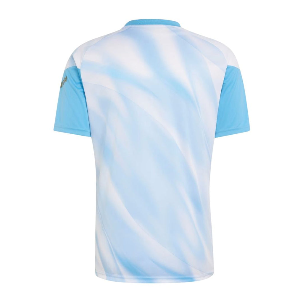 Argentina 2026-27 pre-match shirt back view