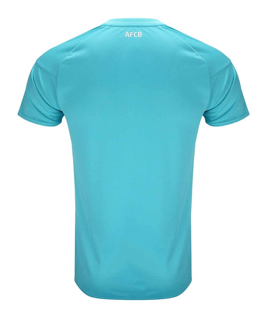 AFC Bournemouth 2020-21 away shirt back view