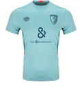 AFC Bournemouth 2023-24 training shirt front in mint