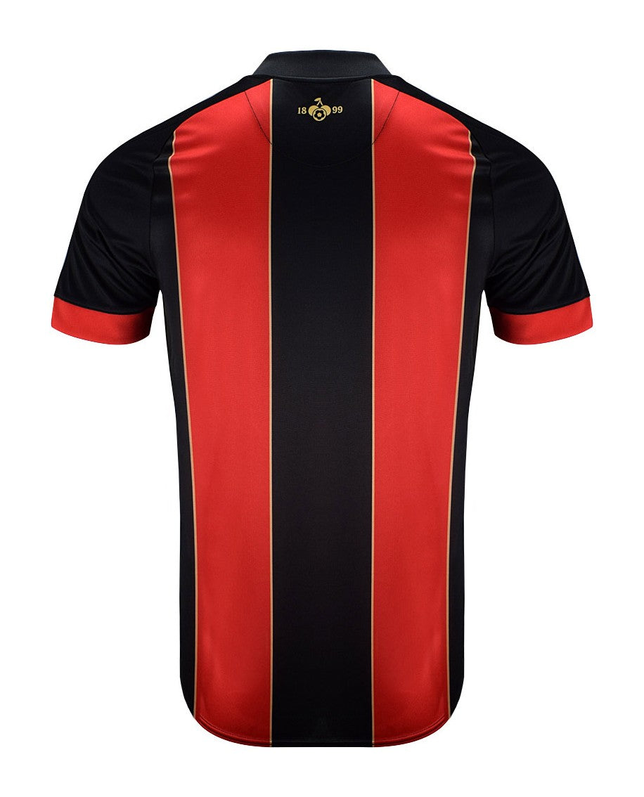 AFC Bournemouth 2024-25 anniversary shirt back view