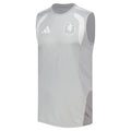 Aston Villa 2026-27 light grey training vest front