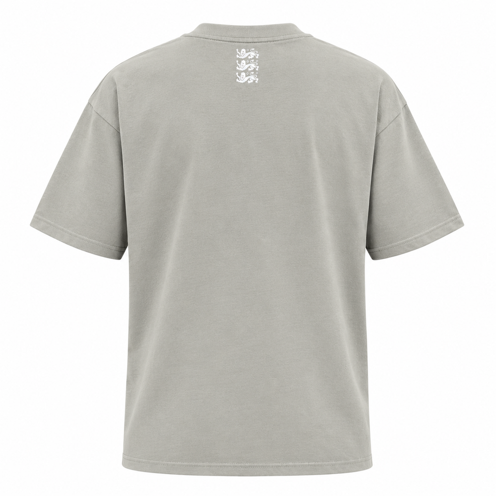 England 2026 grey travel shirt back view
