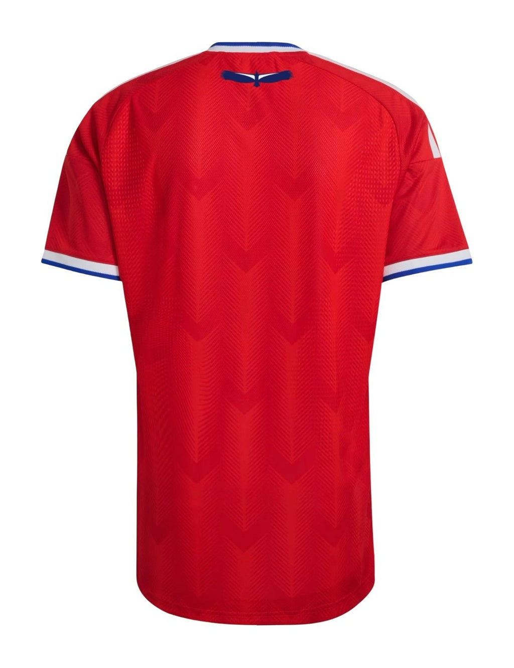 Chile 2026 home shirt back view
