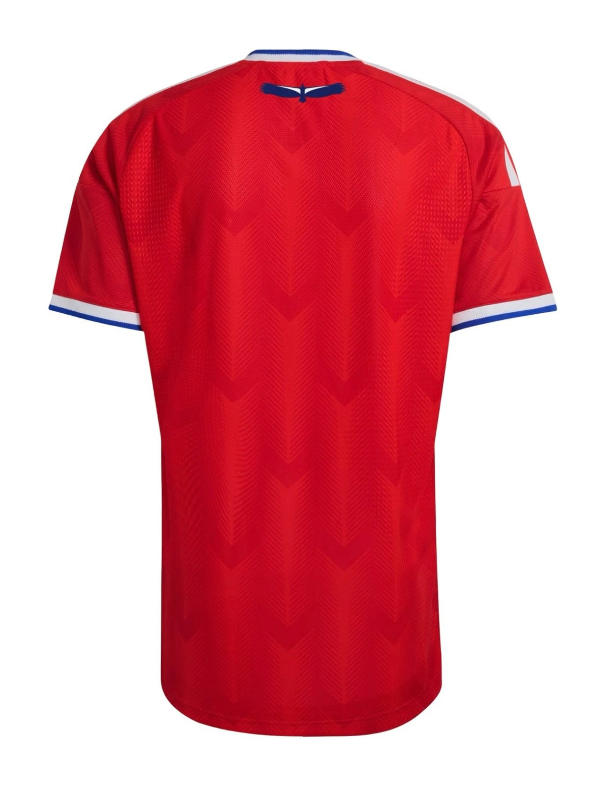 Chile 2026 home shirt back view