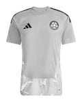 Colombia 2026 grey goalkeeper shirt front