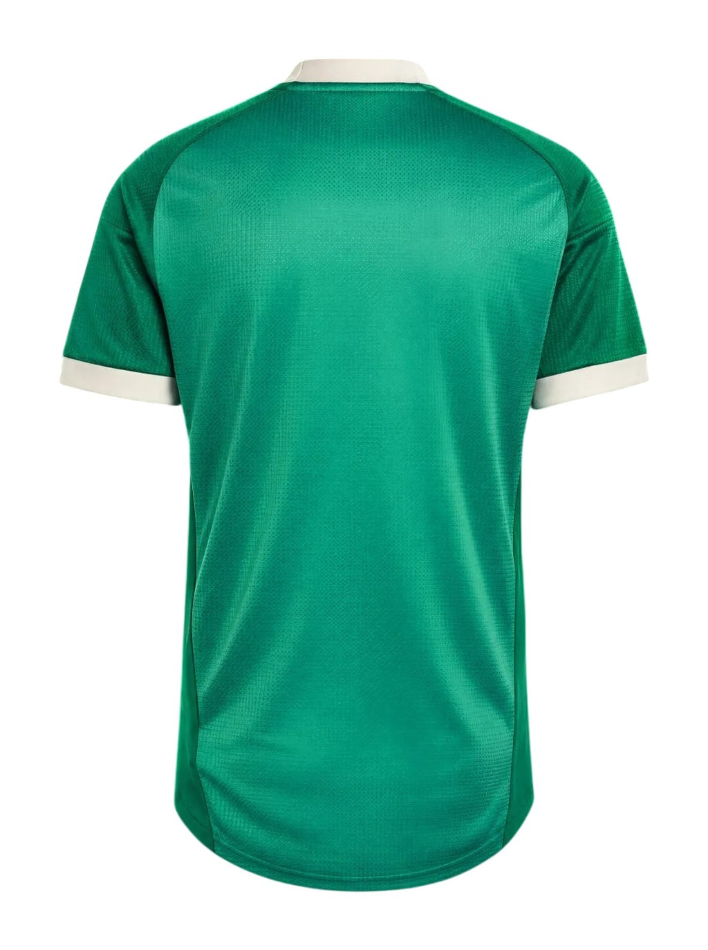 Croatia 2026-27 green goalkeeper jersey back view