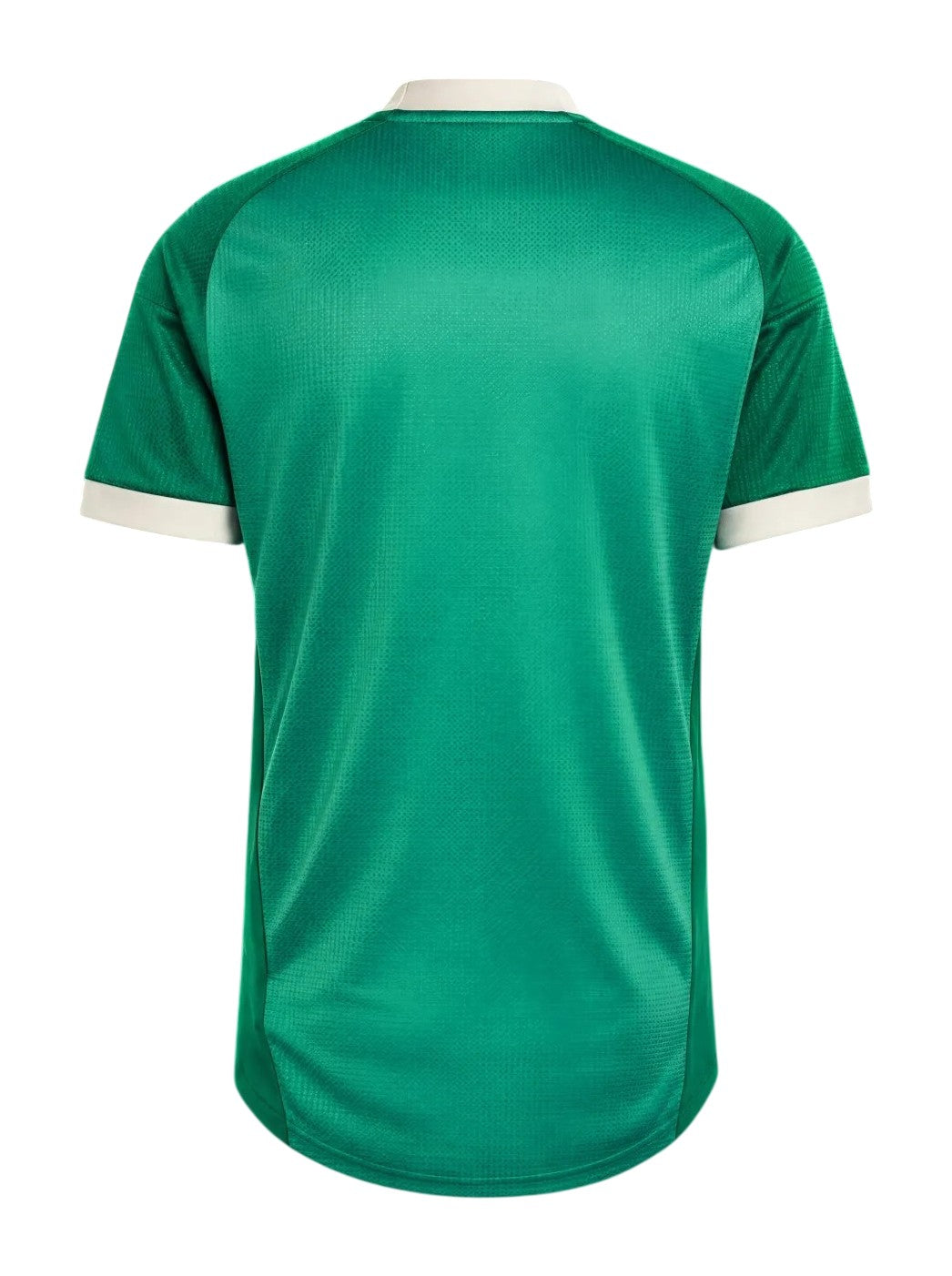 Croatia 2026-27 green goalkeeper jersey back view