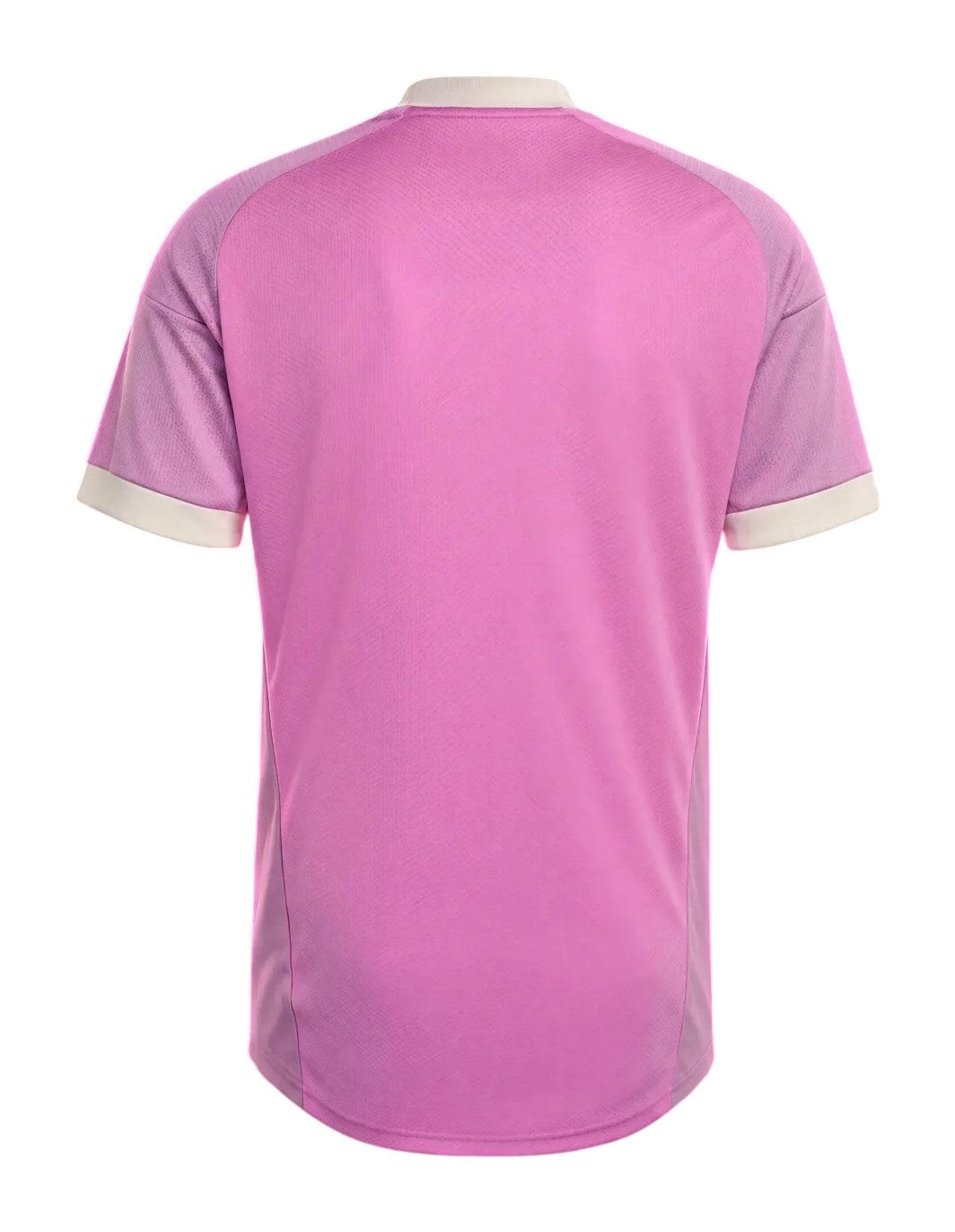 Croatia 2026-27 pink goalkeeper jersey back view
