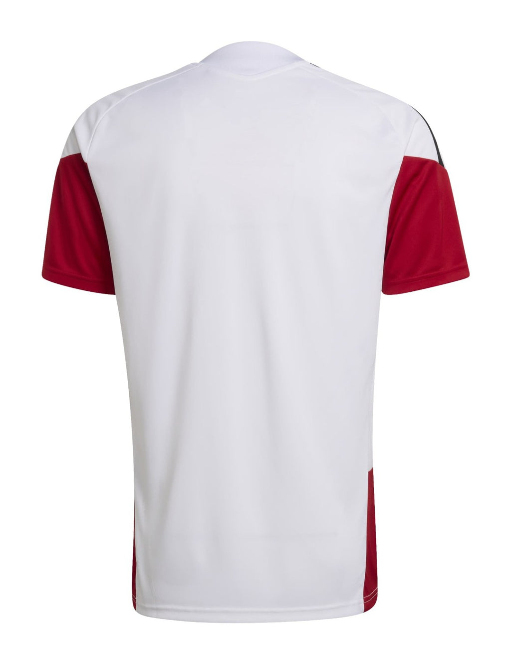 Germany 2026 white training shirt back view