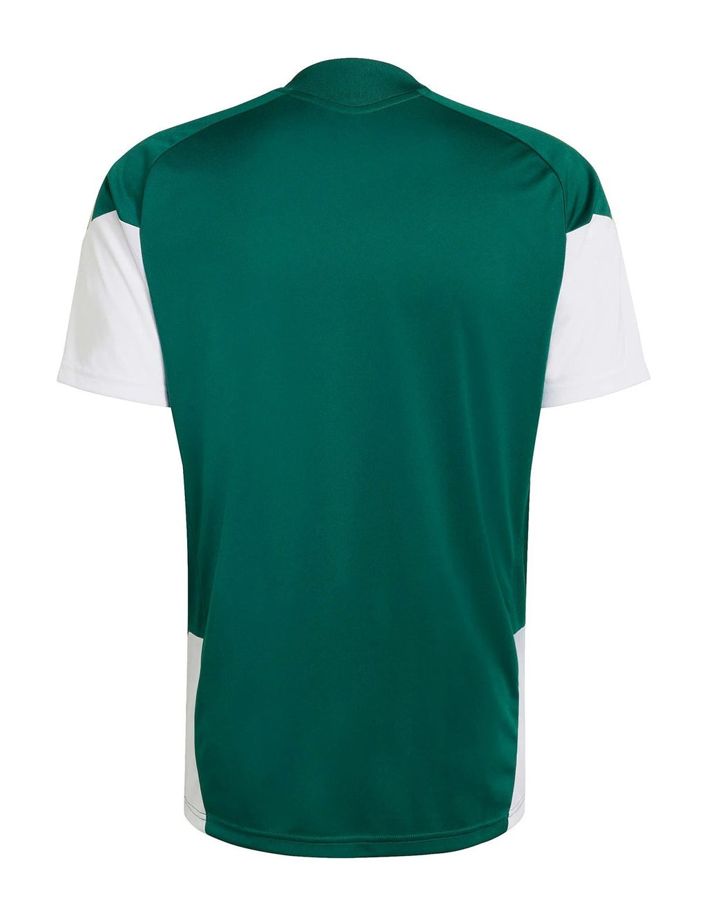 Italy 2026 training jersey back view