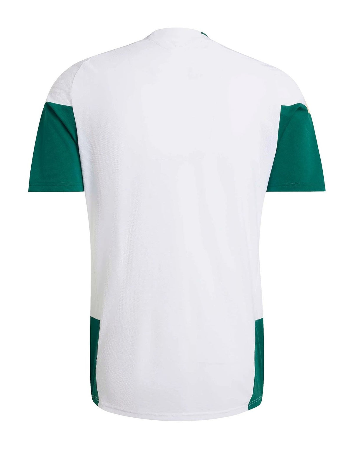 Italy 2026 training shirt back view