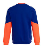 Japan 2026 training sweatshirt back view