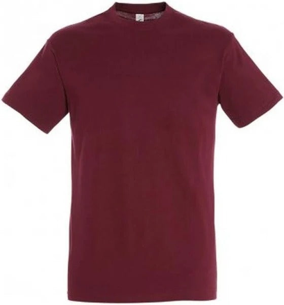 Maroon Colour T Shirt